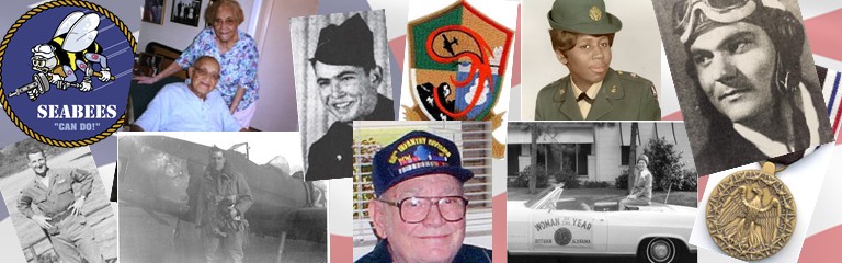 Wiregrass Voice of Veterans 250 Project montage